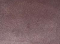 Scarlet 29 Light Violet